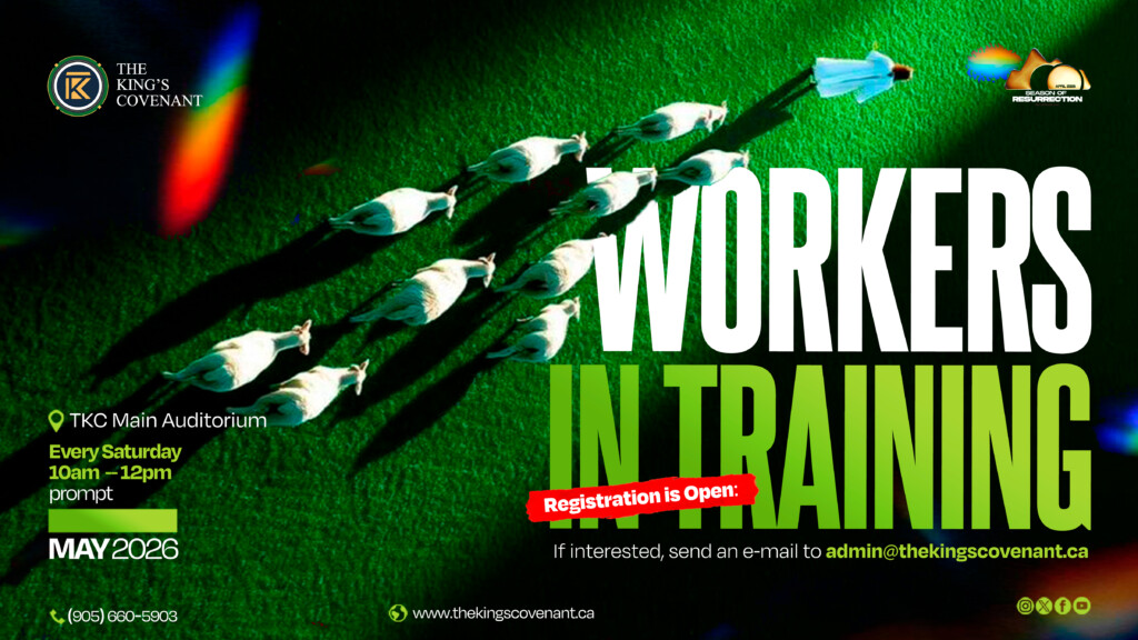 016 TKC Workers in Training May SCR